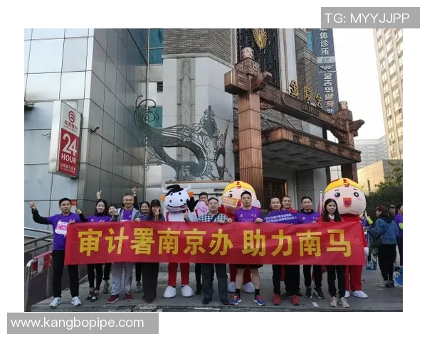 南京羽毛球队在洲际杯上的拼搏历程与荣耀时刻回顾