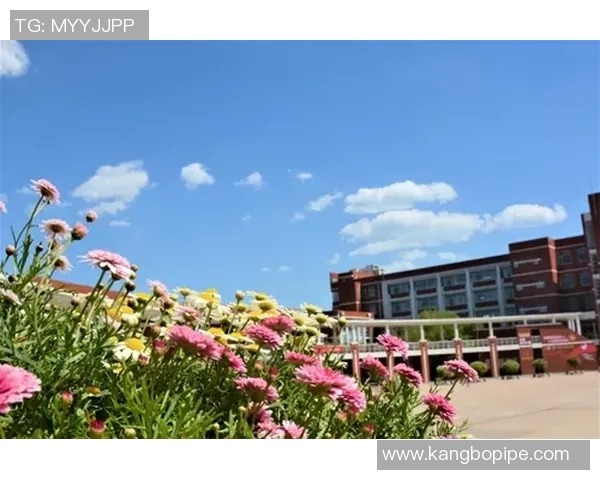 成都网球队的包夹战术解析与深度剖析网球竞技的战略智慧